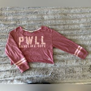 Lake Powell Vintage pink long sleeve crop - L